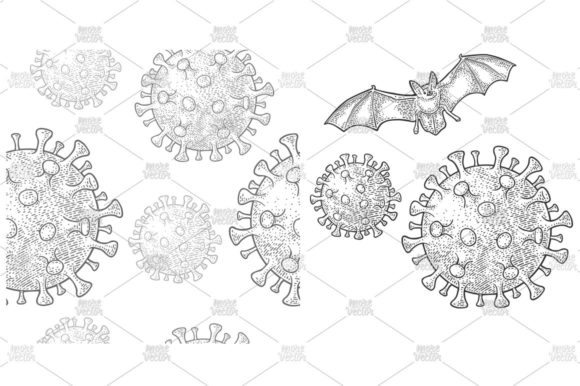 Download Coronavirus Bacteria Cell Bat Engraving - Coronavirus Collection